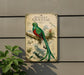 a vintage-style metal sign with a colorful illustration of a quetzal bird perched on a branch, surrounded by various plants and foliage.
