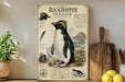 a vintage-style illustration of a rockhopper penguin on a wooden shelf, accompanied by various texts and illustrations related to the penguin's characteristics and habitat.