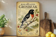 A vintage-style poster of a rose-breasted grouse displayed on a shelf, with a wooden cutting board and a potted plant in the background.