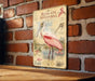 A vintage-style illustration of a pink spoonbill bird is displayed on a brick wall, with accompanying text and illustrations.