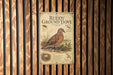 a poster of a ground dove, which is a type of bird, mounted on a wooden wall.