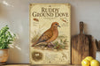 a vintage-style field guide to the American ground dove, with illustrations and text providing information about the bird.