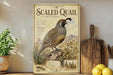 a vintage-style poster of a California quail, a type of bird, displayed on a shelf next to a wooden cutting board and some potted plants.