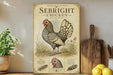 a vintage-style poster of a sebright chicken, which is a breed of chicken known for its distinctive appearance and coloration. The poster is displayed on a shelf next to a wooden cutting board and a potted plant, creating a rustic and homey atmosphere.