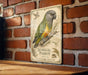 a decorative metal sign with an illustration of a colorful parrot, mounted on a brick wall.