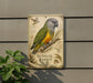a decorative sign with a colorful illustration of a Senegal parrot perched on a branch, surrounded by foliage.