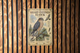 a poster of a sharp-shinned hawk, which is a bird of prey known for its distinctive appearance and hunting abilities.