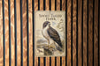 a metal sign with a picture of a short-tailed hawk, mounted on a wooden wall.