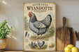 a vintage-style poster of a silver-laced Wyandotte chicken, which is a breed of chicken known for its distinctive appearance and coloration. The poster is displayed on a wooden shelf, surrounded by various kitchen items such as a wooden cutting board, a lemon, and a potted plant.