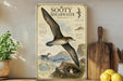 a poster of a Sooty Shearwater, a bird with a distinctive appearance, on a wall. The poster includes an illustration of the bird in flight and a detailed description of the bird's features and habitat.