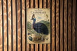 a poster of a Southern Cassowary, a large flightless bird native to Australia, mounted on a wooden wall.