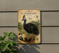 a vintage-style illustration of a Cassowary, a large flightless bird native to Australia, mounted on a wall.