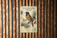 a metal sign with a detailed illustration of a spotted oriole perched on a pine branch, surrounded by pine needles.