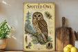 a framed illustration of a spotted owl perched on a branch, surrounded by various natural elements such as pine needles and pine cones.