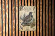 a vintage-style illustration of a pine grouse bird, surrounded by pine trees and foliage, mounted on a wooden wall.