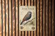 a vintage-style metal plaque with a detailed illustration of a star finch perched on a branch, surrounded by pine cones and pine needles.