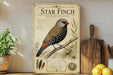 a vintage-style poster or painting of a Star Finch, a small bird with a distinctive spotted pattern, perched on a branch. The poster includes illustrations of the bird, pine cones, and other natural elements, creating a detailed and visually appealing representation of the species.