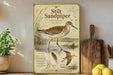 a poster of a Stilt Sandpiper bird on a shelf, surrounded by kitchen utensils and a potted plant.