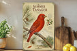 a vibrant red bird perched on a branch, surrounded by pine cones and other natural elements, with a wooden cutting board and a potted plant in the background.