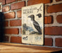 a metal sign with a detailed illustration of a thick-billed murre, a type of bird, mounted on a brick wall.