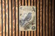 a vintage-style metal sign with a bird illustration, mounted on a wooden wall.