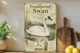 A framed illustration of a white swan is displayed on a shelf, with a wooden paddle and a potted plant to the left.