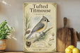 a wooden shelf with a framed illustration of a Titmouse perched on a branch, surrounded by pine cones and other natural elements. The shelf also displays a wooden cutting board, a potted plant, and a few lemons.