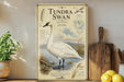 a poster of a white swan with various illustrations and text, including a map and a list of characteristics, displayed on a wall next to a wooden cutting board and some potted plants.