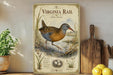 a vintage-style illustration of a Virginia rail, a type of wading bird, standing on a grassy area with a bird's nest nearby. The illustration is accompanied by text that provides information about the bird, including its field notes and conservation status.