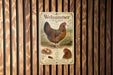 A vintage-style metal sign with an illustration of a chicken and text, mounted on a wooden wall.