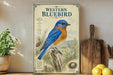 a framed illustration of a bluebird perched on a tree stump, surrounded by pine cones and other natural elements.