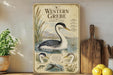 a vintage-style poster of a Western Grebe, a type of water bird, displayed on a shelf next to a wooden cutting board and some kitchen utensils.