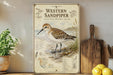 a vintage-style illustration of a Western Sandpiper bird on a shelf, surrounded by various kitchen utensils and a potted plant.