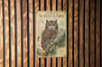 A metal sign with an illustration of a Whiskered Screech- Owl is mounted on a wooden wall.