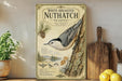 a vintage-style illustration of a white-breasted nuthatch perched on a tree branch, accompanied by text describing the bird's features and habitat.