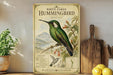 A vintage-style poster of a white-billed hummingbird is displayed on a shelf, accompanied by a wooden cutting board, a potted plant, and some lemons.