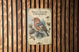 a vintage-style illustration of a white-winged crossbill bird perched on a pine branch, surrounded by pine cones and pine needles.