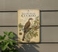 A vintage-style illustration of a yellow-billed cuckoo bird perched on a branch, with text describing the bird's features and habitat.