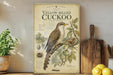 a vintage-style poster of a yellow-billed cuckoo bird on a branch, displayed on a shelf next to a wooden cutting board and some potted plants.