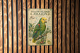 a poster of a yellow-headed Amazon parrot, which is a brightly colored bird native to the Amazon rainforest.