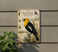 A vintage-style metal plaque depicting a yellow-headed blackbird, with illustrations of the bird and its natural habitat.
