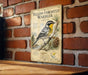 A vintage-style poster of a yellow-throated warbler, a bird species native to North America, is displayed on a brick wall.