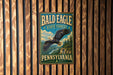 A metal sign with the text "BALD EAGLE STATE FOREST PENNSYLVANIA" and an illustration of a bald eagle in flight, mounted on a wooden wall.