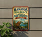 A vintage-style metal sign with the text "Banados del Rio Dulce y Mar Chiquita Argentina" and an illustration of a capybara in a natural setting.