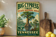 A vintage-style sign for the Big Cypress Tree State Natural Area in Tennessee, featuring a large cypress tree and a river.