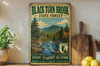 a vintage-style poster of Black Turn Brook State Forest, with a scenic mountain landscape and a river. The poster is displayed on a wall, and there are some potted plants and kitchen utensils visible in the foreground.