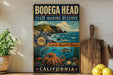 A vintage-style sign for Bodega Head State Marine Reserve in California, featuring an illustration of a rocky coastline, ocean, and marine life.