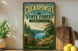 A vintage-style sign for the CockapSONSET State Forest in Connecticut, featuring a scenic landscape with pine trees, a lake, and mountains.