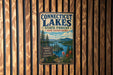 A vintage metal sign for Connecticut Lakes State Forest in New Hampshire, featuring a scenic illustration of the lake surrounded by pine trees and mountains.
