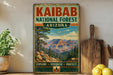 A vintage-style poster advertising Kaibab National Forest in Arizona, featuring a scenic mountain landscape with pine trees and a clear blue sky.